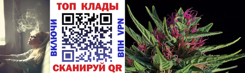 Продажа наркотиков Котельниково Галлюциногенные грибы  гидра   Меф  Гашиш  A-PVP  COCAIN 