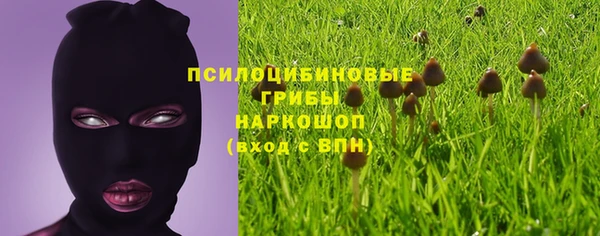 гидропоника Белоозёрский