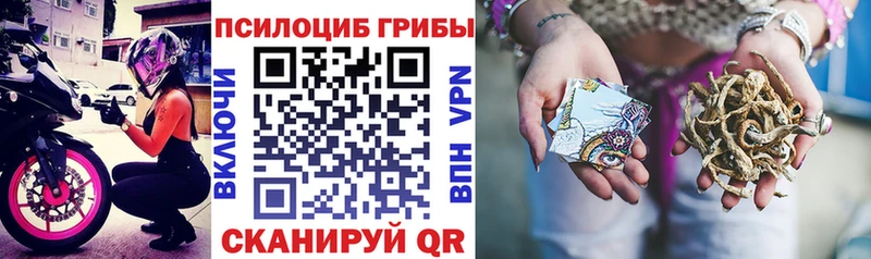 Псилоцибиновые грибы Psilocybe  кракен зеркало  Котельниково 